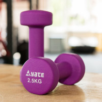 Neopren Hanteln Kurzhantel 2,5kg lila Neopren Hanteln Kurzhantel 2,5kg lila